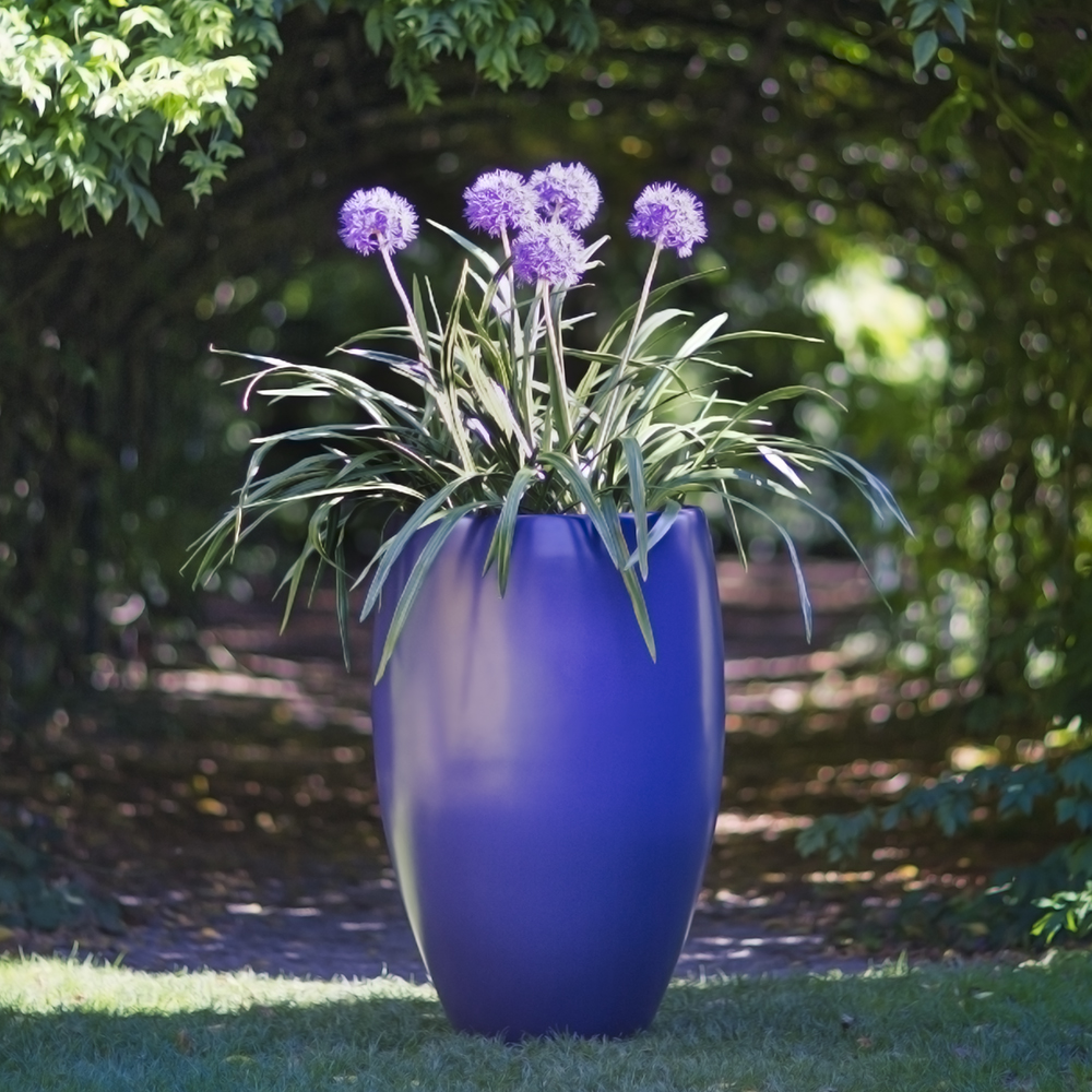 CUBAN PLANTER by Europlanters
