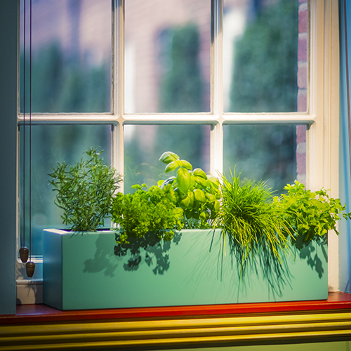 WINDOW BOX PLANTERS