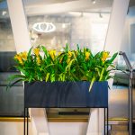 Thesley-High-Stand-by-Europlanters