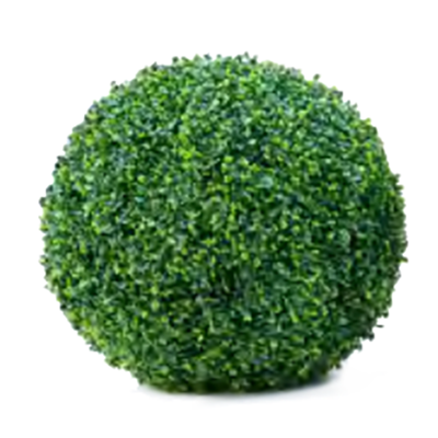 Boxwood Ball by Europlanters