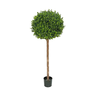 Buxus Ball Treel by Europlanters