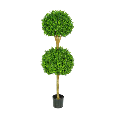 Buxus Double Ball Treel by Europlanters