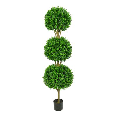 Buxus Triple Ball Tree by Europlanters