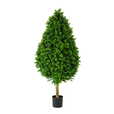 Buxus Tower by Europlanters