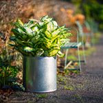 Galvanised-Circular-metal-planter-cylinder-by-europlanters