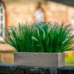 Stone-look-trough-plastic-planter-by-europlanters