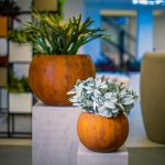 RUST-effect-sphere-by-Europlanters
