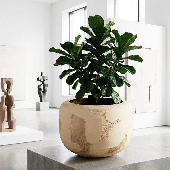 AUSTIN3-planter-inside