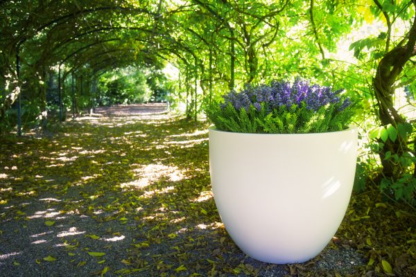 BRADWELL Planter in GRP