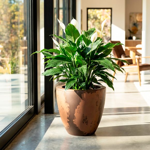 BRAEMAR-planter