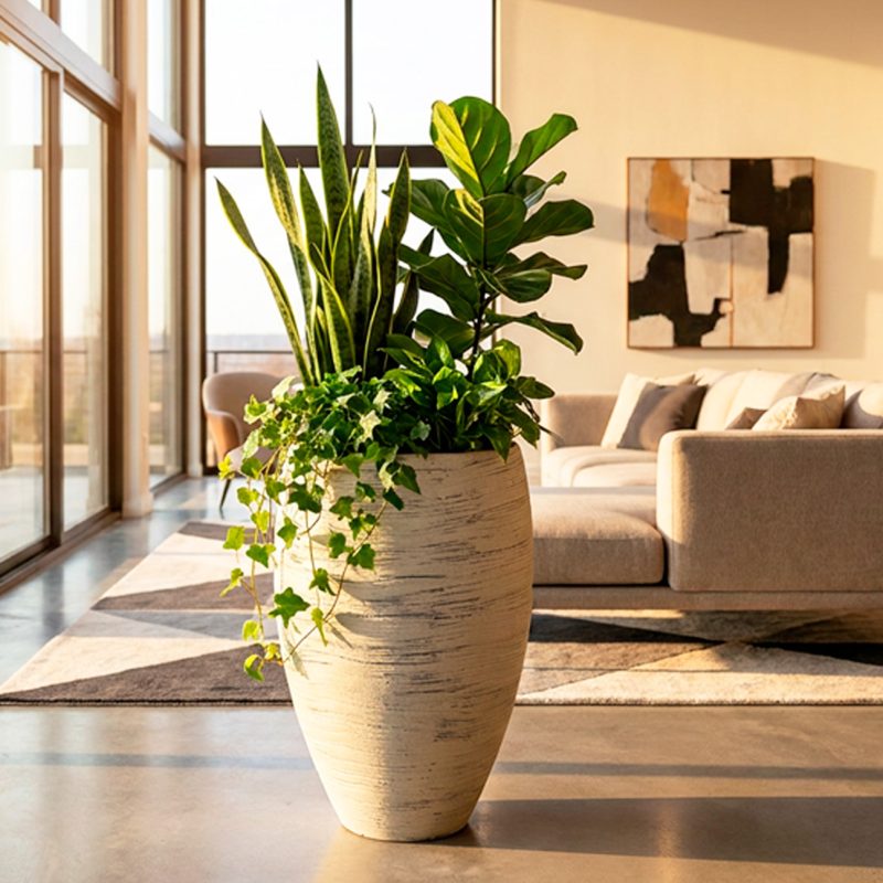 CABANA-interiorbutton