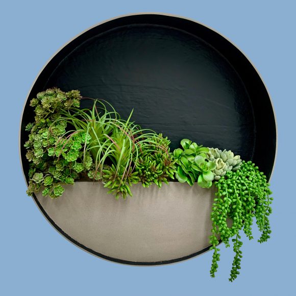 Circular-Wall-Planter-by-europlanters