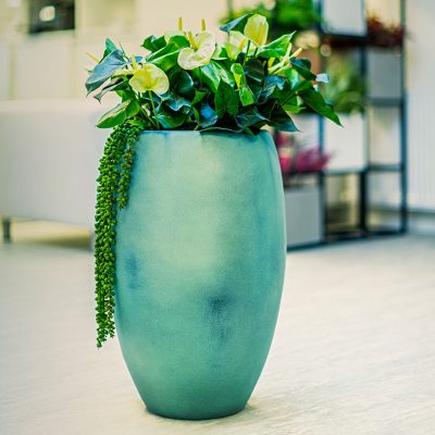 Cuban-planter-in-patina-effect-by-Europlanters-copy