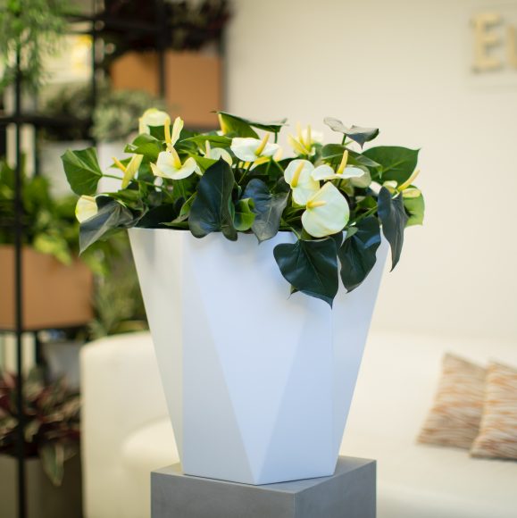 Hebden Tall Vase by Europlanters