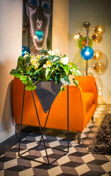 Kirley-High-stand-by-Europlanters