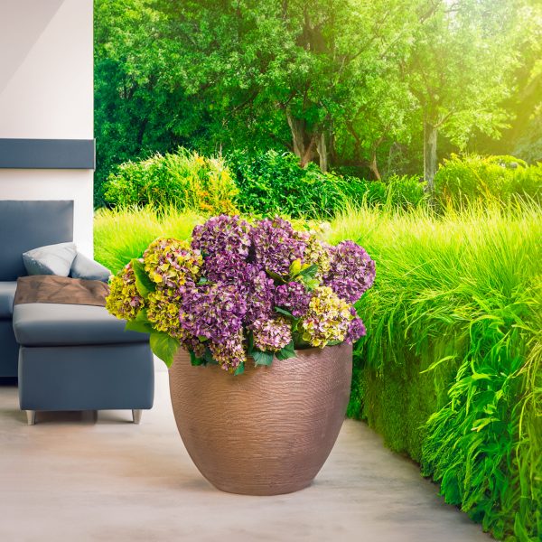 LITTON-PLANTER-by-Europlanters
