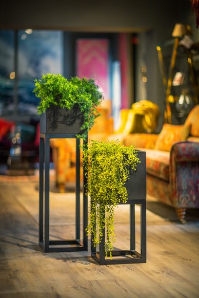 Oakley-Broad-Stand-Group-by-Europlanters