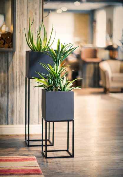 Oakley-Narrow-Stand-Group-by-Europlanters