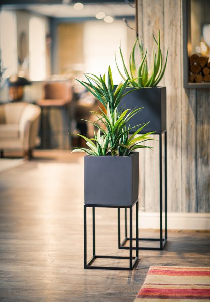 Oakley-Narrow-Stand-Group-by-Europlanters