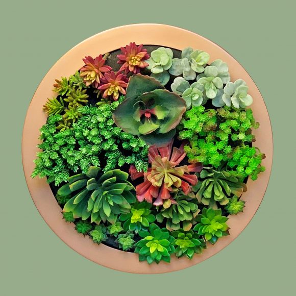 Porthole-Circular-wall-frame-planters-by-europlanters-large