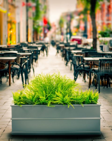 THORNTON-trough planter by Europlanters