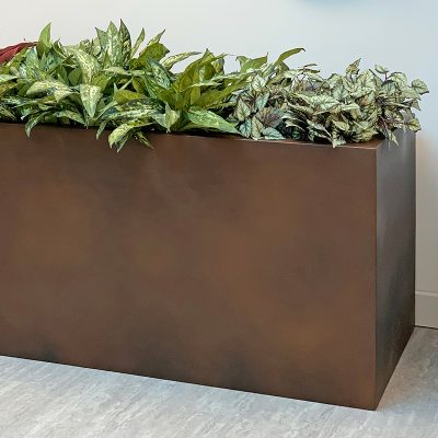 TROUGH-IN-OLD-IRON-EFFECT-by-europlanters